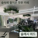 카페위드숲 | [영등포] 숲속에 들어온 듯한 작업하기 좋은 당산 카페 <슬래시 위드> 추천 후기