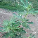 종은농장 이미지