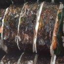 차가네김밥 - 영도구 절영로13번길 45 | 차가네김밥