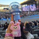 원우월드 | [캐럿로그] 세븐틴 월드 투어 [NEW_] 인천 막콘 후기 DAY 2(25.09.14.)