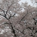 월산초등학교 이미지