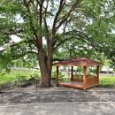 정도전길 이미지