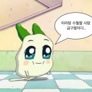 백미가 마라탕