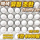 오쿠 구운계란 후기 오쿠 중탕기로 계란 한판 맥반석 달걀 이게 되네?