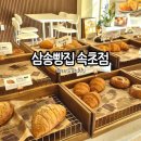 앤티베이커리(Auntie Bakery) | 내돈내산 삼송빵집 속초점 방문후기 | 속초 빵집 베이커리 추천 만두고로케 라이스번 건강곱빼기