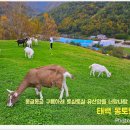 태백목장 이미지