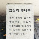 무릉도원면-49 | 사군자, 욥에게 말을 걸다 (8) 한국에서 무릉도원 이해, 무릉도원②