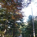 운학농장 이미지