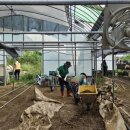 야정농장 이미지