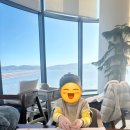 썬밸리리조트 고흥지점 | 고흥 썬밸리리조트 이용 후기 (31개월 아이와함께/일출/18평형클린룸)