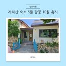 적당한 날 | 남원 지리산 숙소 추천 : 5월 감꽃 10월 홍시 적당한 공간 숙박후기