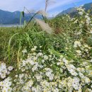 달무리수변공원A 이미지