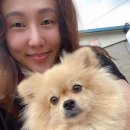 진양상사 이미지