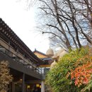 남한산성면 남한산성로 2 | [경기 광주] 남한산성 벚꽃? : 옛날순두부집 짜박두부 &amp; 경성빵공장 내돈내산 솔직 후기