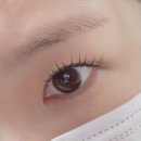 팬더스크린골프 | 시흥 대야동 속눈썹펌 24시간 운영하는 윤채브로우에서 맞춤U펌 받은 후기