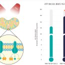 아이메디신의 첨단 기술 뇌파검진과 PBM. 단 10분 만에 나의 뇌를 밝힌다