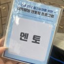 애드멘토 - 세종특별자치시 한누리대로 312 | #. 한국미래진로센터 대학탐방 멘토 후기