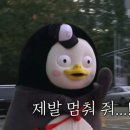 옥자네반찬 | 효자동회식장소 무한리필 고깃집 옥자네생고기