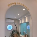 몽샴푸 이미지