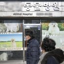 펫케어 동물병원 이미지