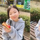 웰크레페 이미지