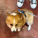 CU 성수성문점 이미지