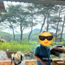 숨터펜션1호 네이버블로그