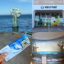 새천년의 빛 | 포항 호미곶 가볼만할곳 추천, 새천년기념관, 상생의 손 방문 후기!