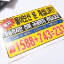 바른자세척추운동 이미지