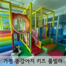 키즈풀빌라 똥강아지 | 가평 여행 키즈풀빌라 펜션 추천 똥강아지 키즈 풀빌라 아기상어