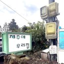 제주에우리집 | [제주 서귀포] 독채숙소 추천 ‘ 제주에우리집 펜션 ’ 천혜향에 묵은 REAL 후기 ❤️서귀포독채펜션