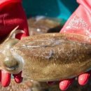 쌍용반점 이미지