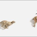 목포생활도자박물관 이미지