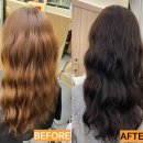 서신동물병원 | 전주 서신동 미용실 모즈토리 :: 가을맞이 톤다운 염색 후기