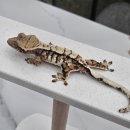 (주)인터메디 이미지