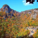 단풍약국 이미지