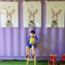 동구목장 이미지