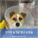 행신동물의료센터 이미지