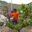 김상환농장 이미지