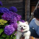 샛별목장 이미지