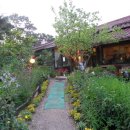 물맑은집 이미지