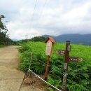 매동둘레길 입구 이미지