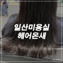 온새헤어 네이버블로그
