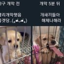 반짝반짝빛나라 이미지
