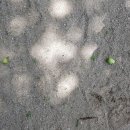 웅골민박 이미지