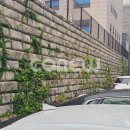 청림초등학교 이미지