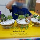 대구효령초등학교 이미지