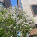 대쿠이 | [대구] 대쿠이 본점 솔직 후기 / 웨이팅 꿀팁