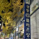 요코초장산