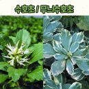 부귀초등학교 이미지